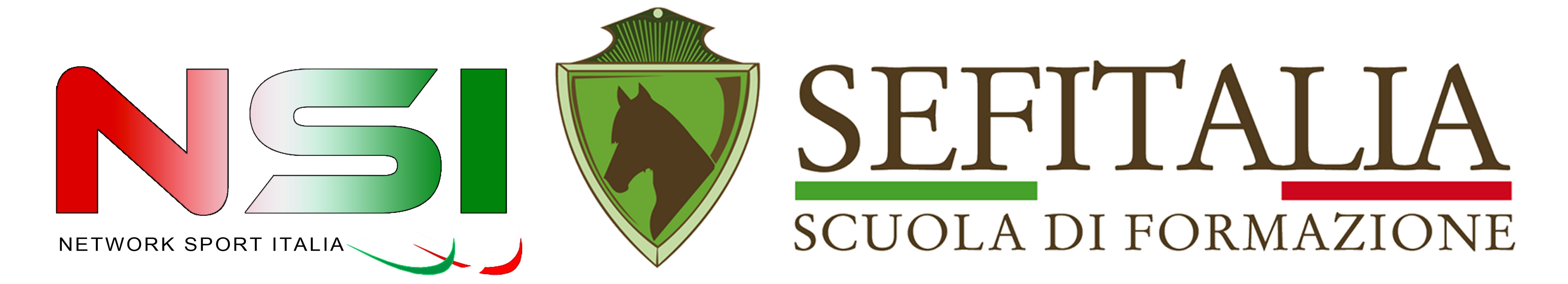 NSI - SEF Logo